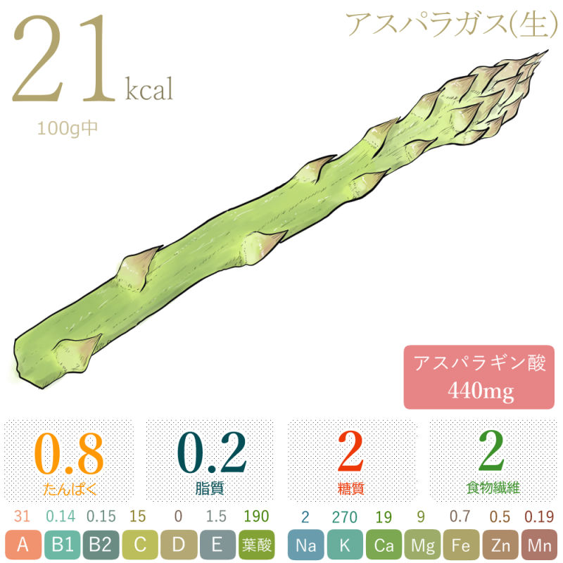アスパラガスの栄養成分 100g