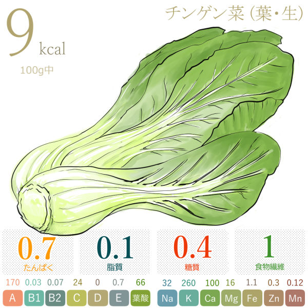 チンゲンサイ(カロリー・糖質・脂質・食物繊維)