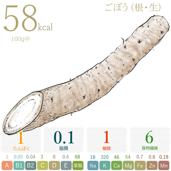 ごぼう(カロリー・糖質・脂質・食物繊維)