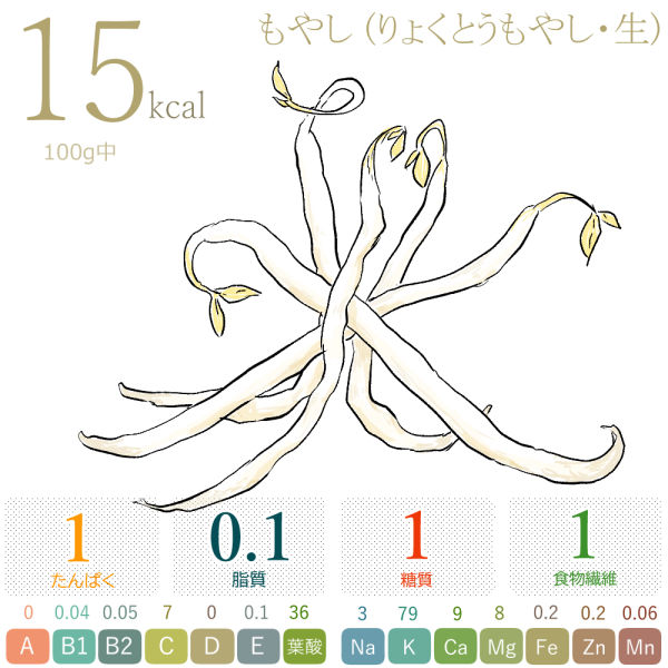もやし(カロリー・糖質・脂質・食物繊維)