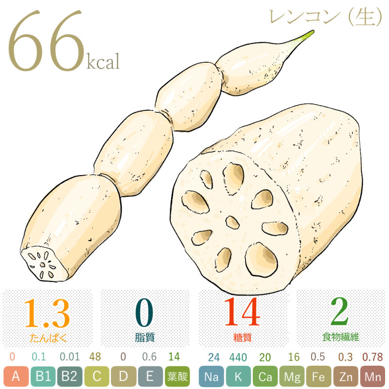 れんこん(カロリー・糖質・脂質・食物繊維)