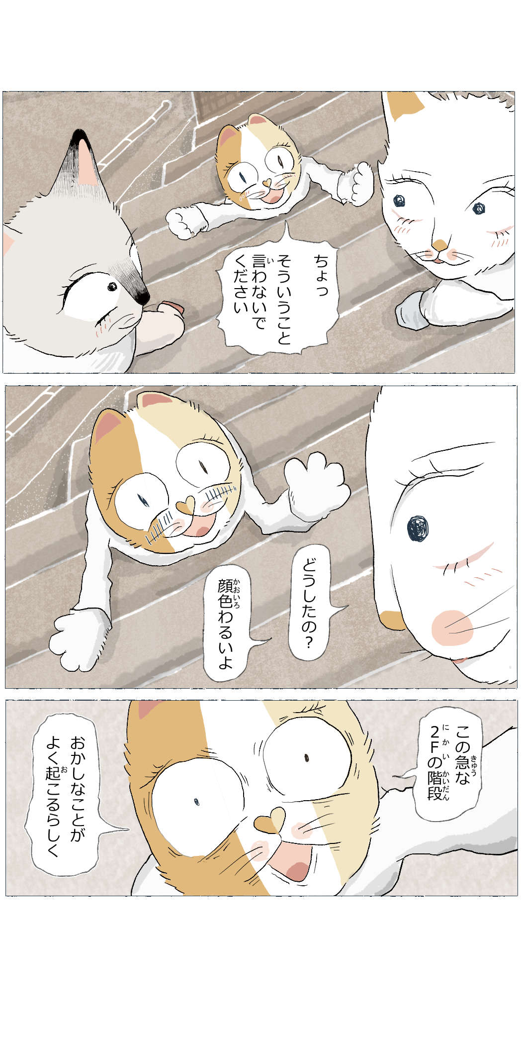 画像7