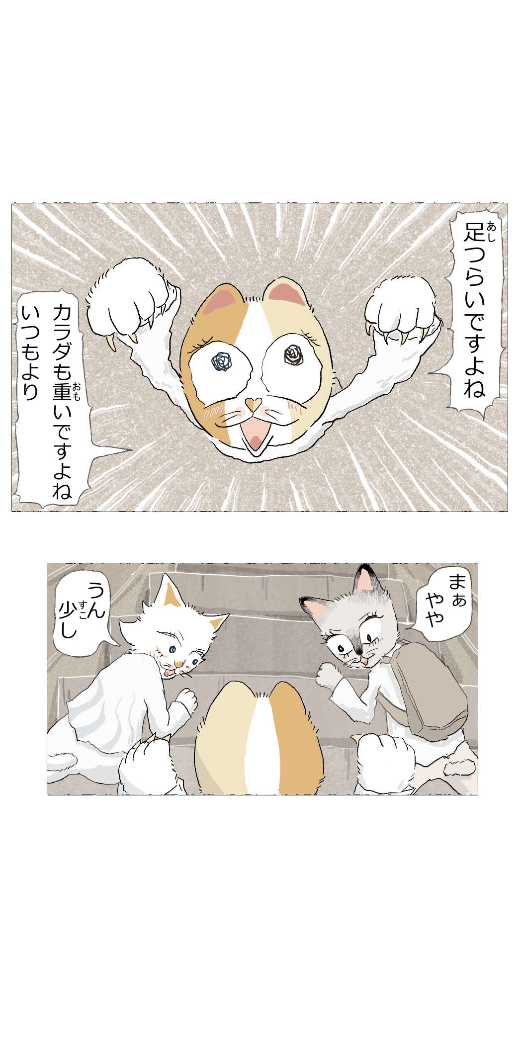 画像8