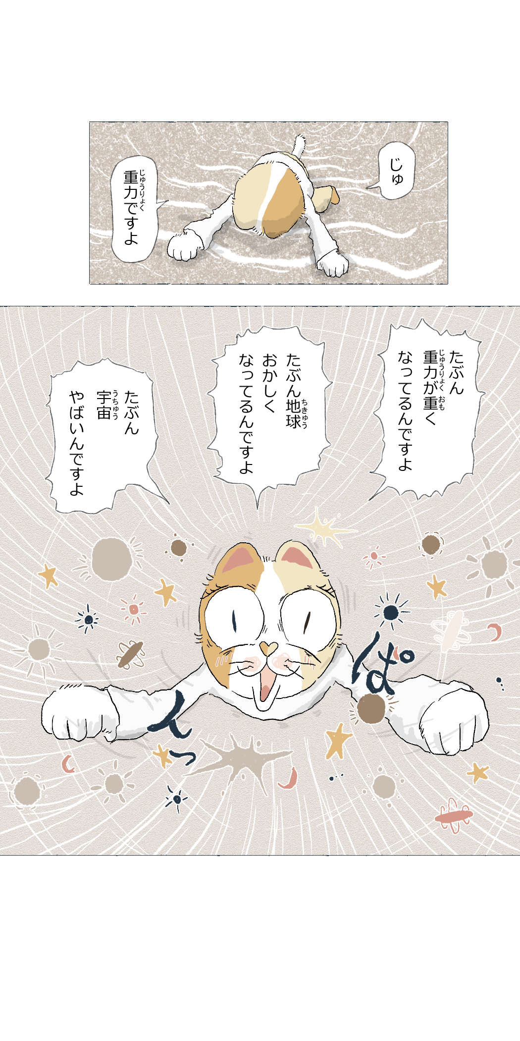 画像9