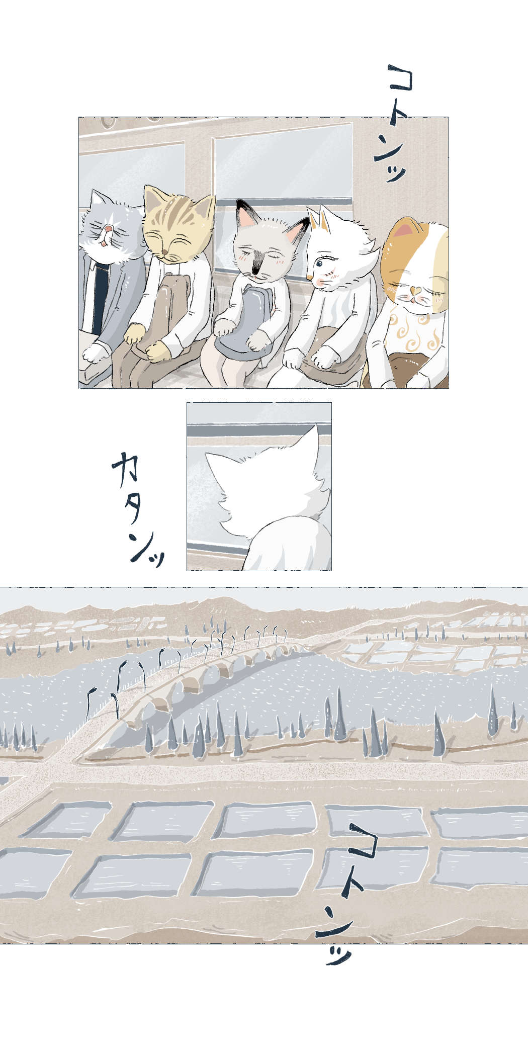 画像12